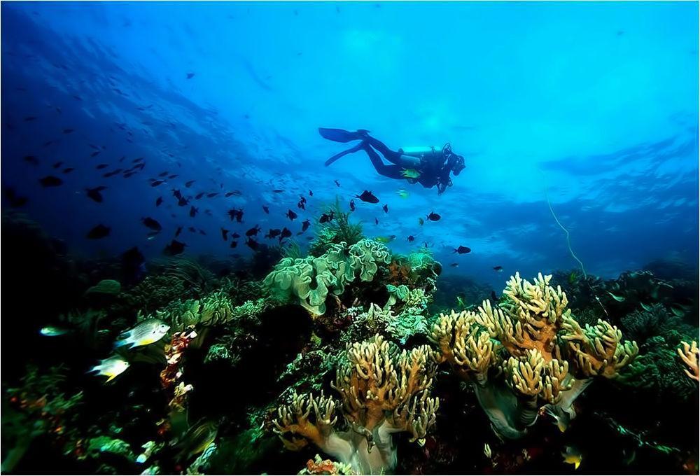 Wakatobi Patuno Diving And Beach Resort By Sahid Wanci ภายนอก รูปภาพ
