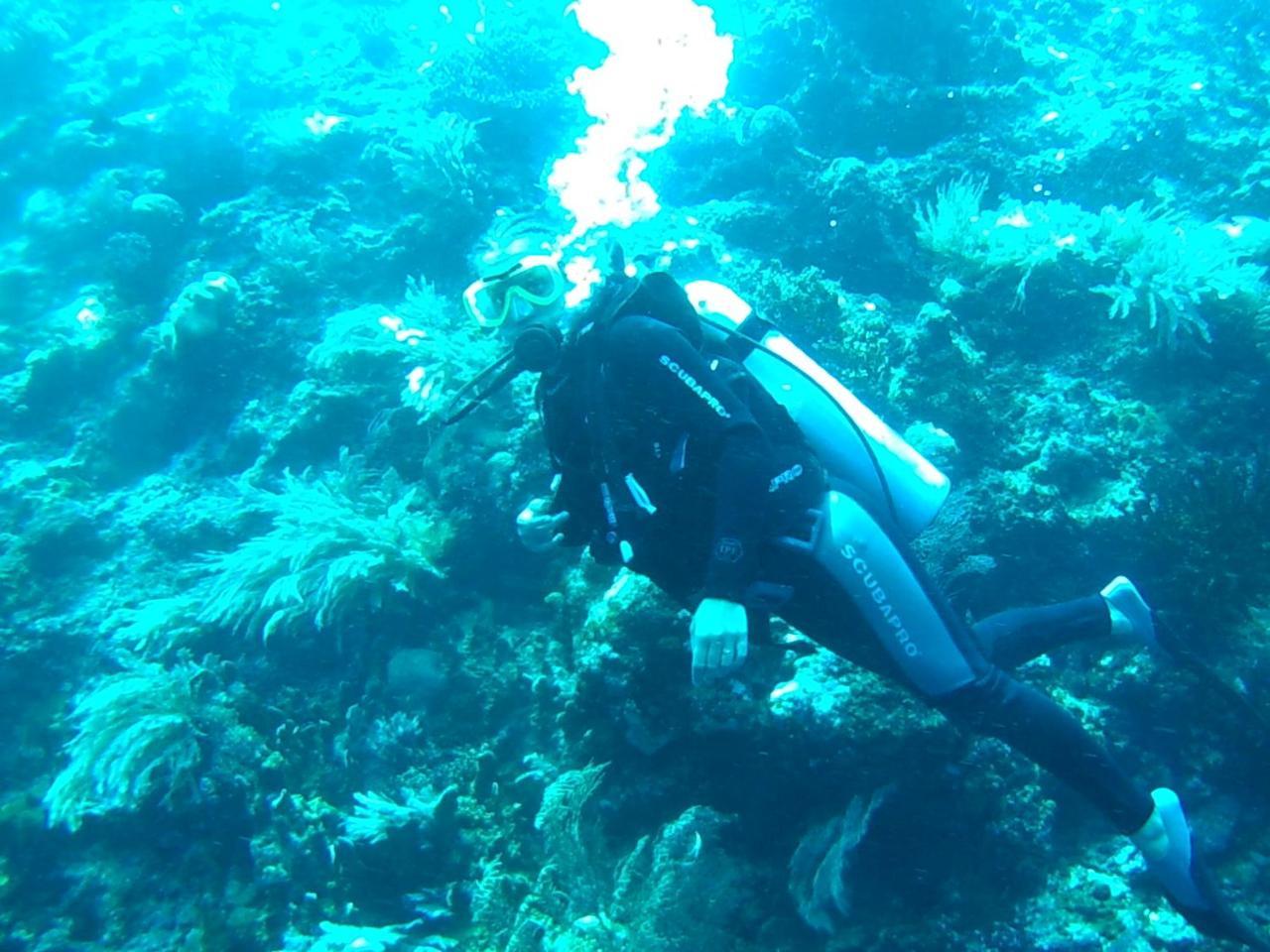 Wakatobi Patuno Diving And Beach Resort By Sahid Wanci ภายนอก รูปภาพ