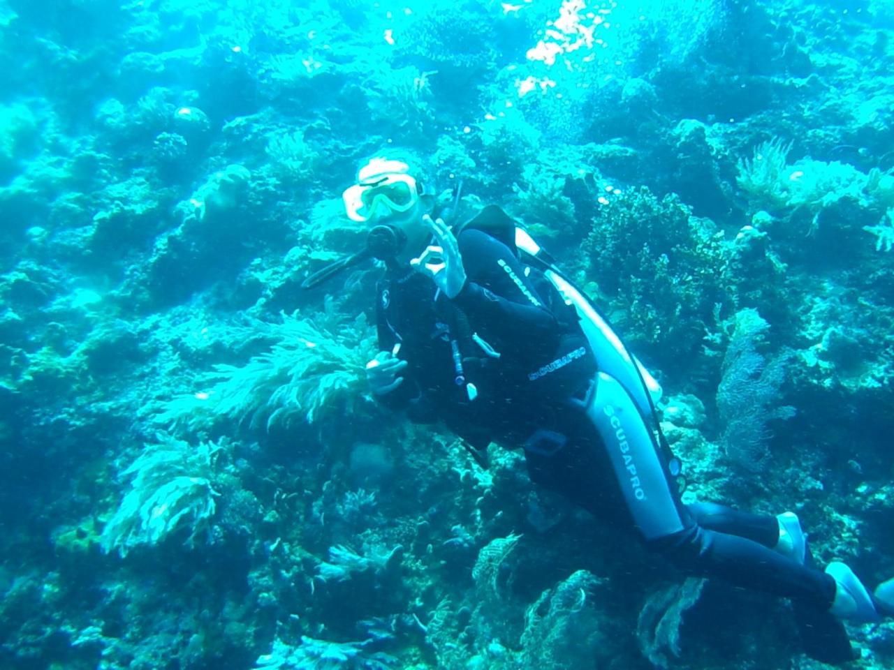 Wakatobi Patuno Diving And Beach Resort By Sahid Wanci ภายนอก รูปภาพ